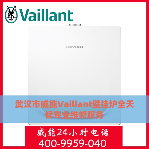 武汉市威能Vaillant壁挂炉全天候专业维修服务