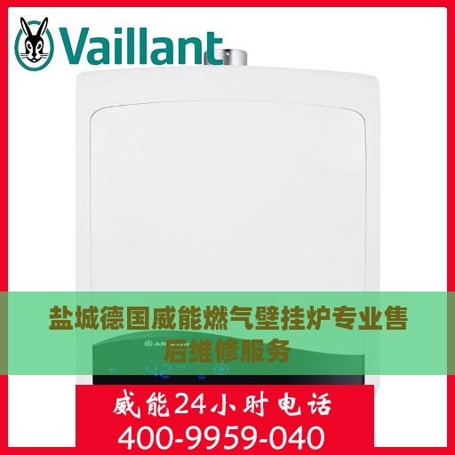 盐城德国威能燃气壁挂炉专业售后维修服务