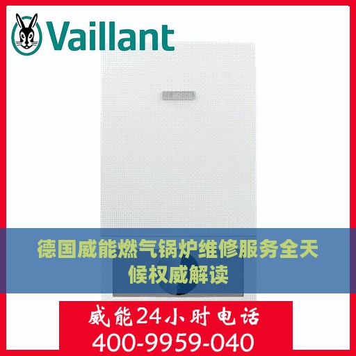 德国威能燃气锅炉维修服务全天候权威解读