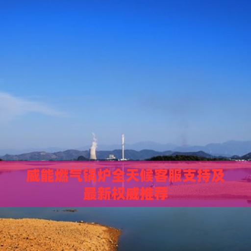 威能燃气锅炉全天候客服支持及最新权威推荐