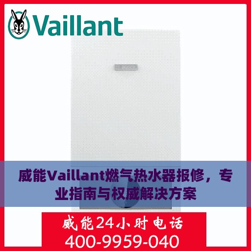 威能Vaillant燃气热水器报修，专业指南与权威解决方案
