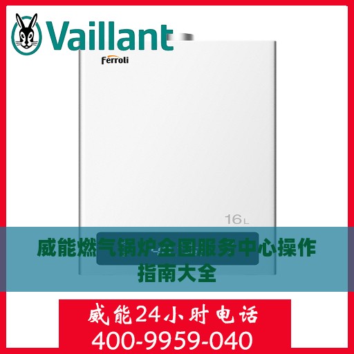 威能燃气锅炉全国服务中心操作指南大全