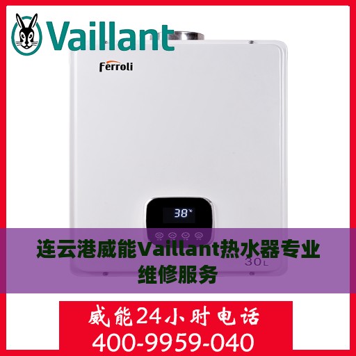 连云港威能Vaillant热水器专业维修服务
