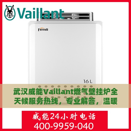 武汉威能Vaillant燃气壁挂炉全天候服务热线，专业解答，温暖您的每一刻