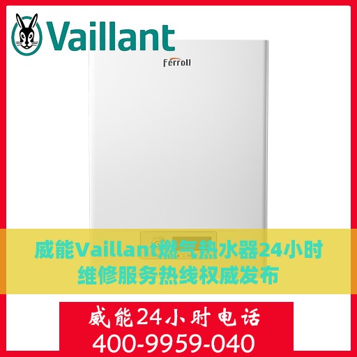 威能Vaillant燃气热水器24小时维修服务热线权威发布