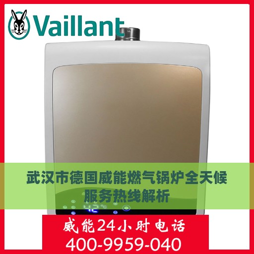 武汉市德国威能燃气锅炉全天候服务热线解析