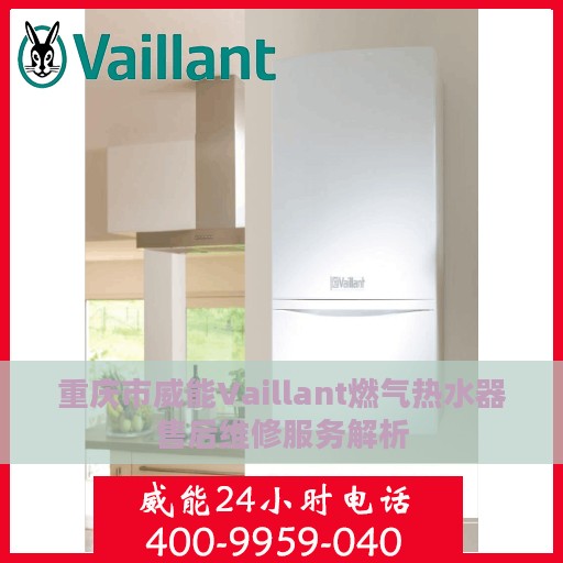 重庆市威能Vaillant燃气热水器售后维修服务解析