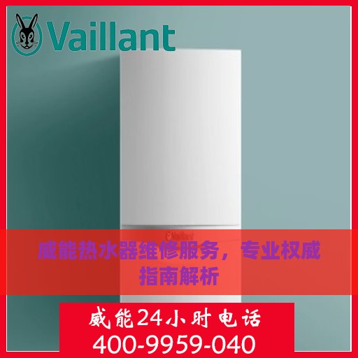 威能热水器维修服务，专业权威指南解析