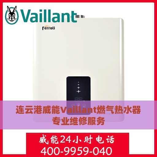 连云港威能Vaillant燃气热水器专业维修服务