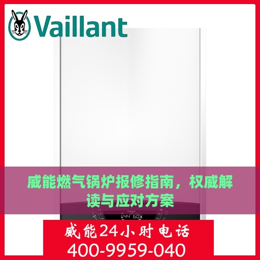 威能燃气锅炉报修指南，权威解读与应对方案