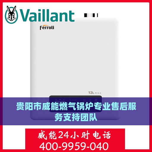 贵阳市威能燃气锅炉专业售后服务支持团队