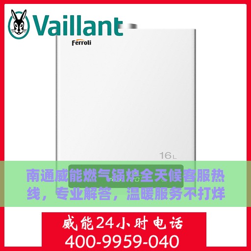 南通威能燃气锅炉全天候客服热线，专业解答，温暖服务不打烊