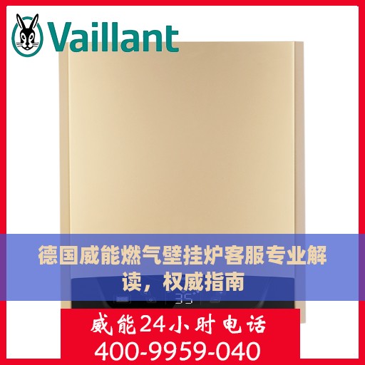德国威能燃气壁挂炉客服专业解读，权威指南