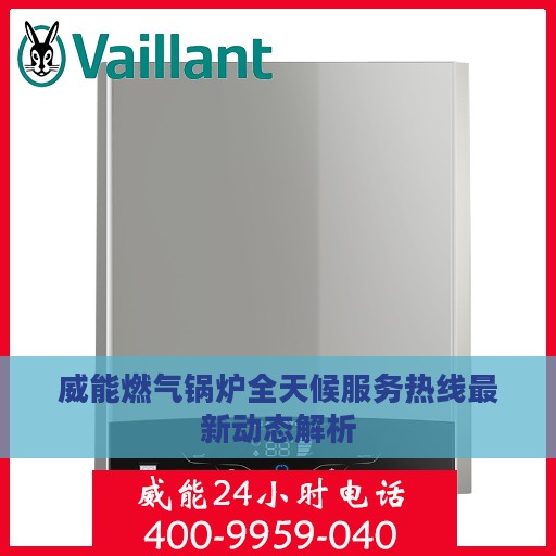威能燃气锅炉全天候服务热线最新动态解析