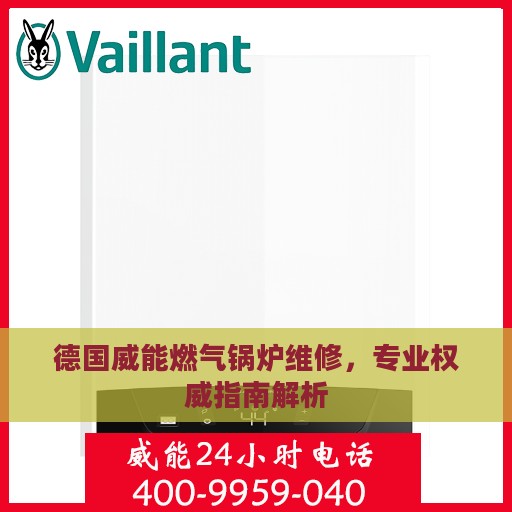 德国威能燃气锅炉维修，专业权威指南解析