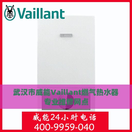 武汉市威能Vaillant燃气热水器专业维修网点