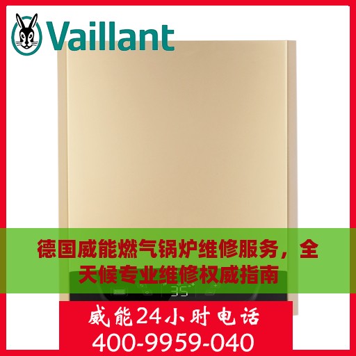 德国威能燃气锅炉维修服务，全天候专业维修权威指南