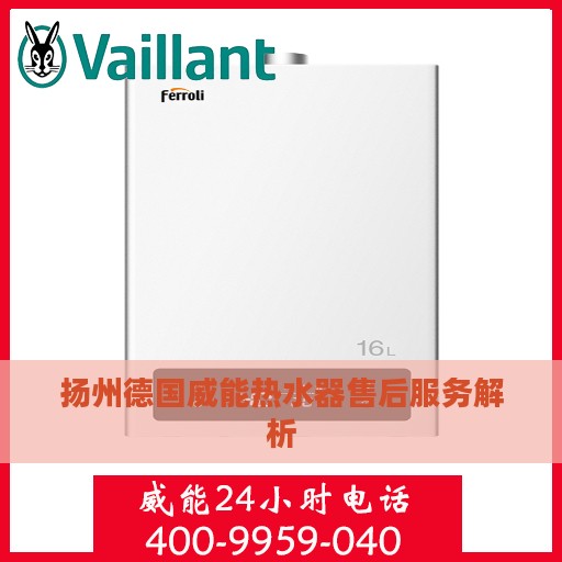 扬州德国威能热水器售后服务解析