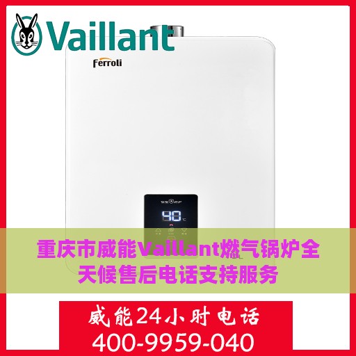 重庆市威能Vaillant燃气锅炉全天候售后电话支持服务
