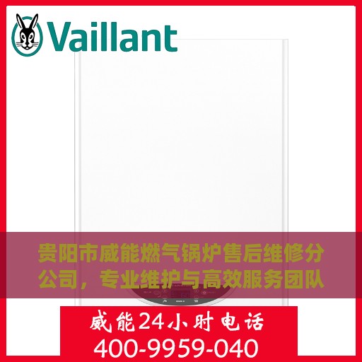 贵阳市威能燃气锅炉售后维修分公司，专业维护与高效服务团队引领行业先锋