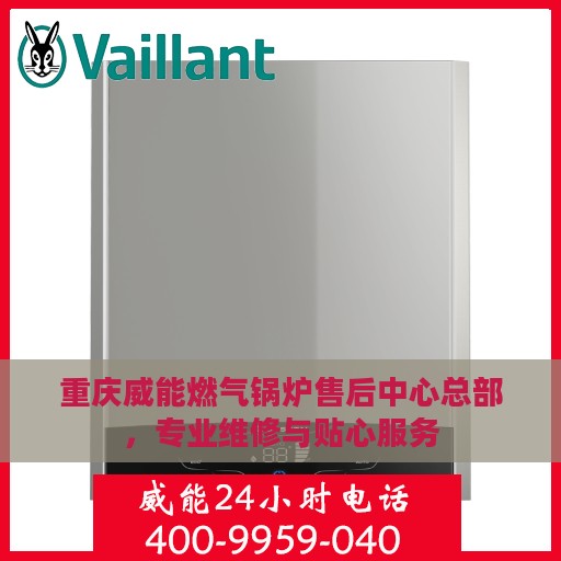 重庆威能燃气锅炉售后中心总部，专业维修与贴心服务