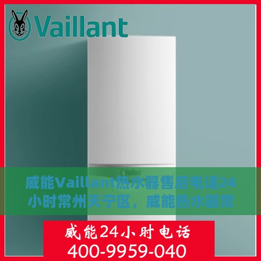 威能Vaillant热水器售后电话24小时常州天宁区，威能热水器常州天宁区售后热线全天候服务开启，专业维修团队随时待命