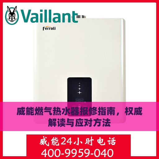 威能燃气热水器报修指南，权威解读与应对方法