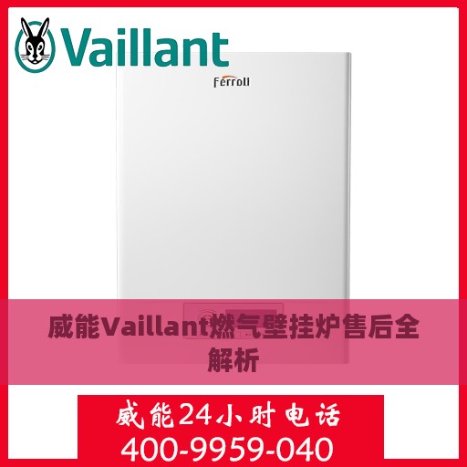 威能Vaillant燃气壁挂炉售后全解析