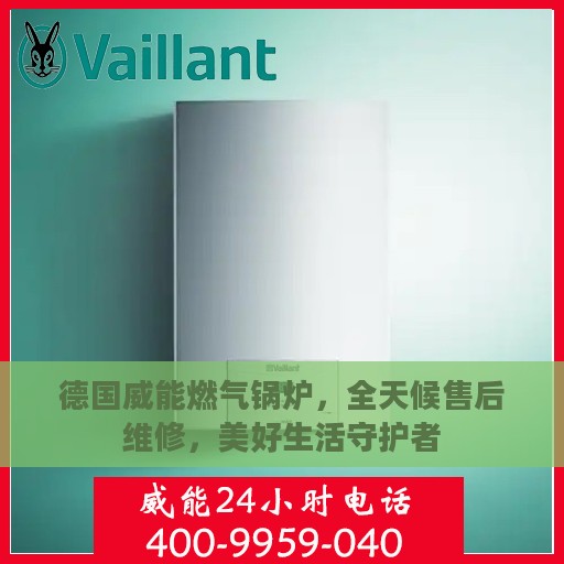 德国威能燃气锅炉，全天候售后维修，美好生活守护者