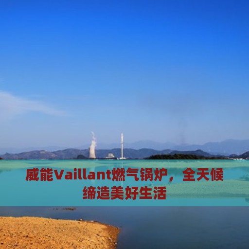 威能Vaillant燃气锅炉，全天候缔造美好生活