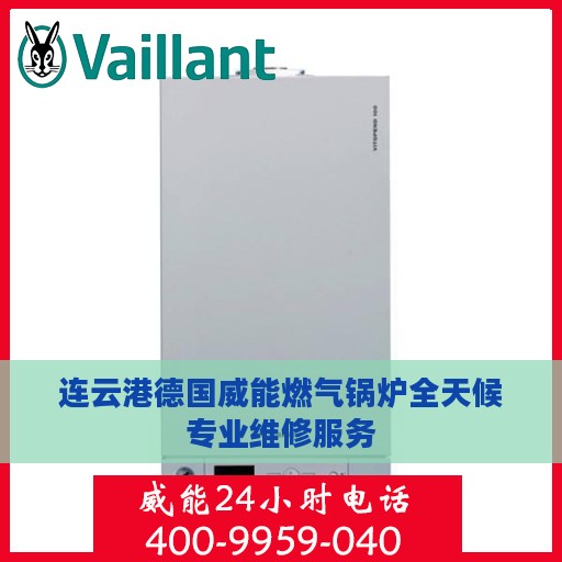 连云港德国威能燃气锅炉全天候专业维修服务