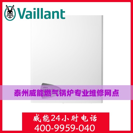 泰州威能燃气锅炉专业维修网点