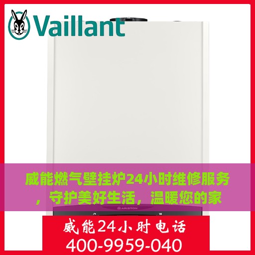 威能燃气壁挂炉24小时维修服务，守护美好生活，温暖您的家