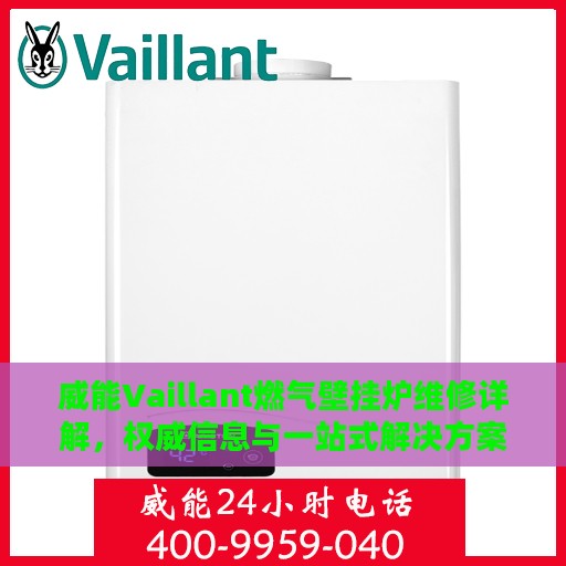 威能Vaillant燃气壁挂炉维修详解，权威信息与一站式解决方案