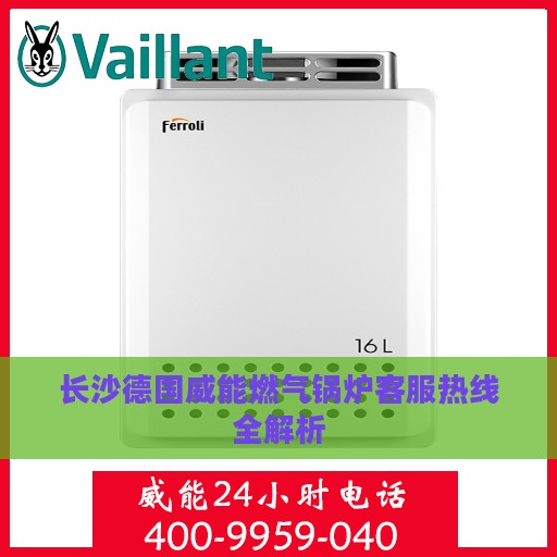 长沙德国威能燃气锅炉客服热线全解析
