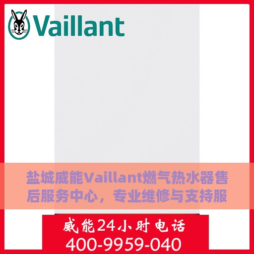 盐城威能Vaillant燃气热水器售后服务中心，专业维修与支持服务