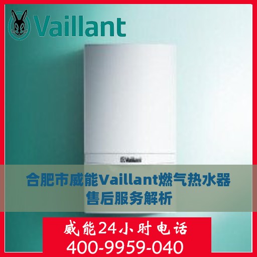 合肥市威能Vaillant燃气热水器售后服务解析