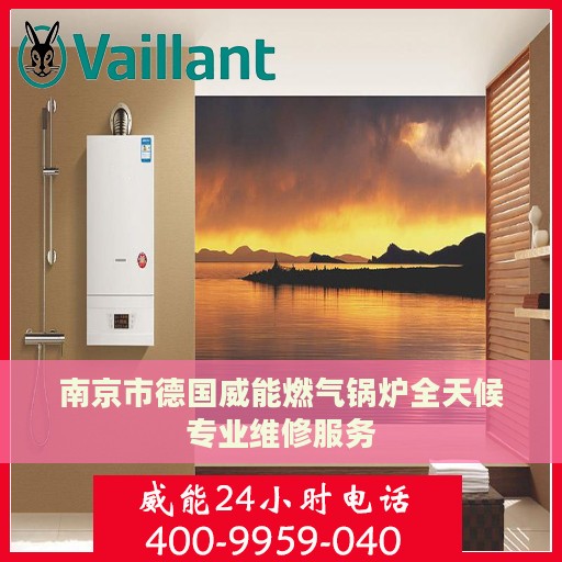 南京市德国威能燃气锅炉全天候专业维修服务