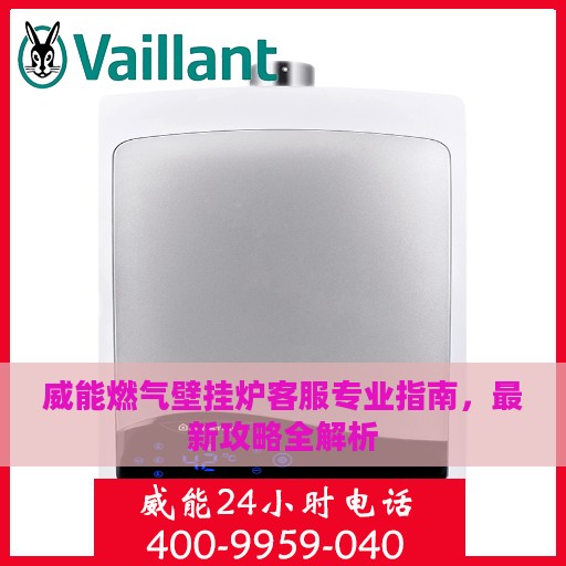 威能燃气壁挂炉客服专业指南，最新攻略全解析