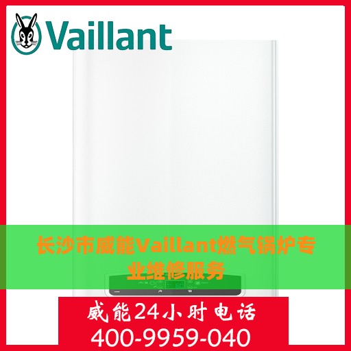 长沙市威能Vaillant燃气锅炉专业维修服务