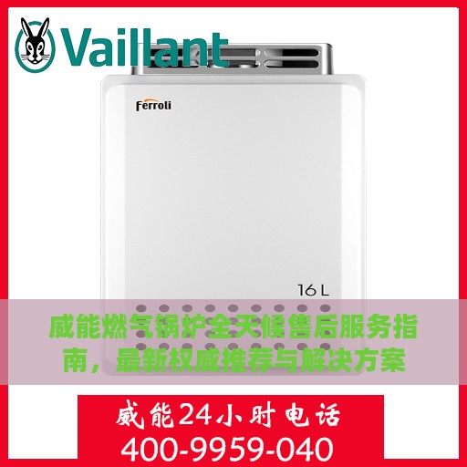 威能燃气锅炉全天候售后服务指南，最新权威推荐与解决方案