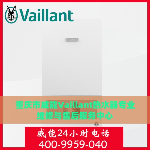 重庆市威能Vaillant热水器专业维修与售后服务中心