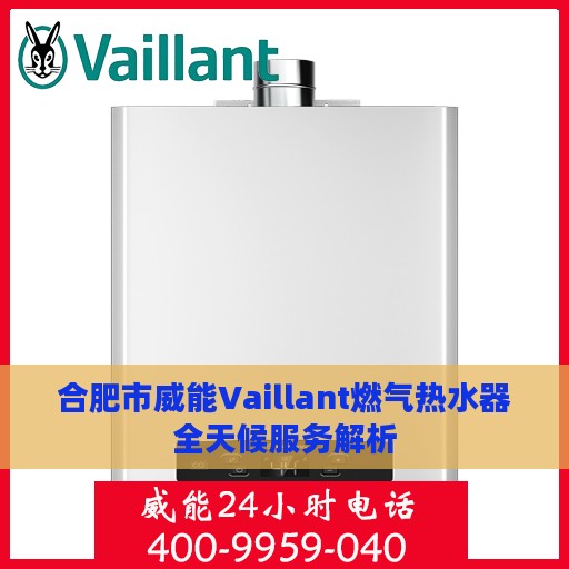 合肥市威能Vaillant燃气热水器全天候服务解析