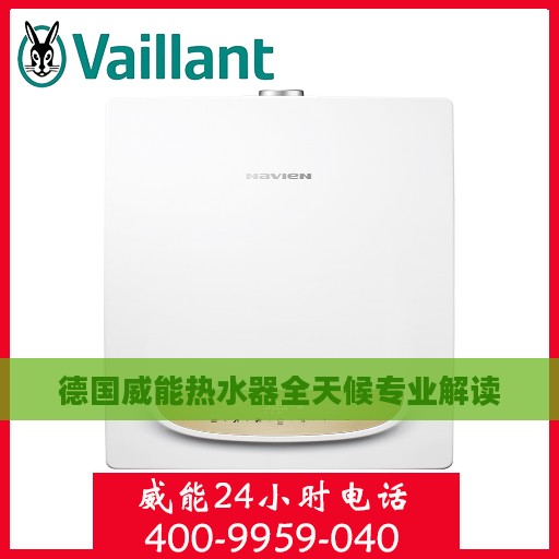 德国威能热水器全天候专业解读