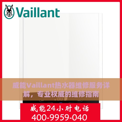威能Vaillant热水器维修服务详解，专业权威的维修指南