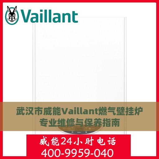 武汉市威能Vaillant燃气壁挂炉专业维修与保养指南