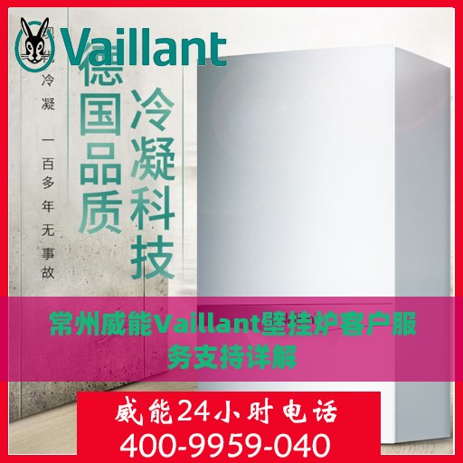 常州威能Vaillant壁挂炉客户服务支持详解