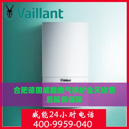 合肥德国威能燃气锅炉全天候售后服务保障
