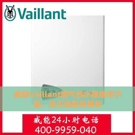 威能Vaillant燃气热水器维修手册，全天候服务解析