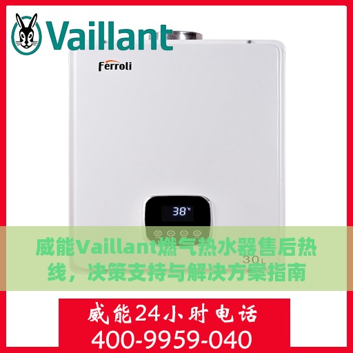 威能Vaillant燃气热水器售后热线，决策支持与解决方案指南